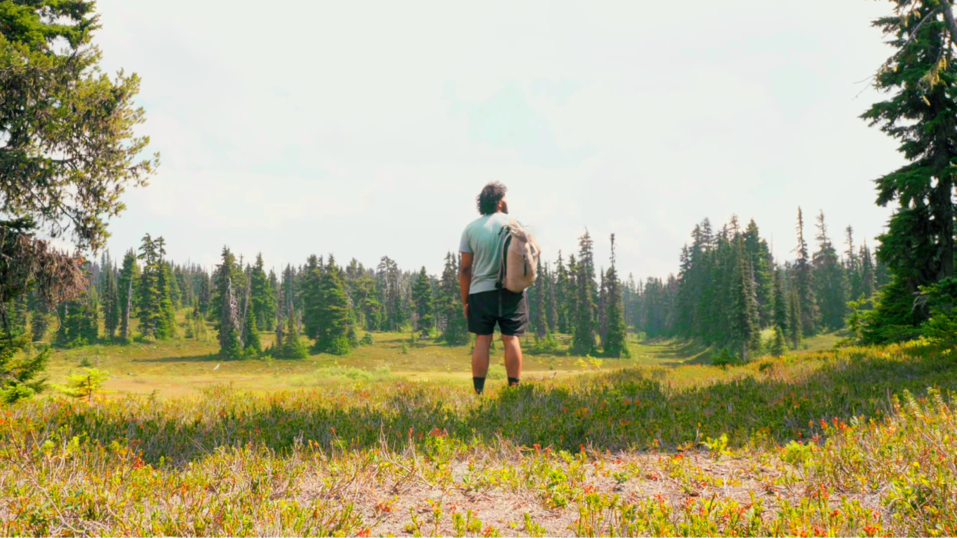 Hike
